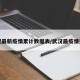 武汉最新疫情累计数据表/武汉最疫情报告